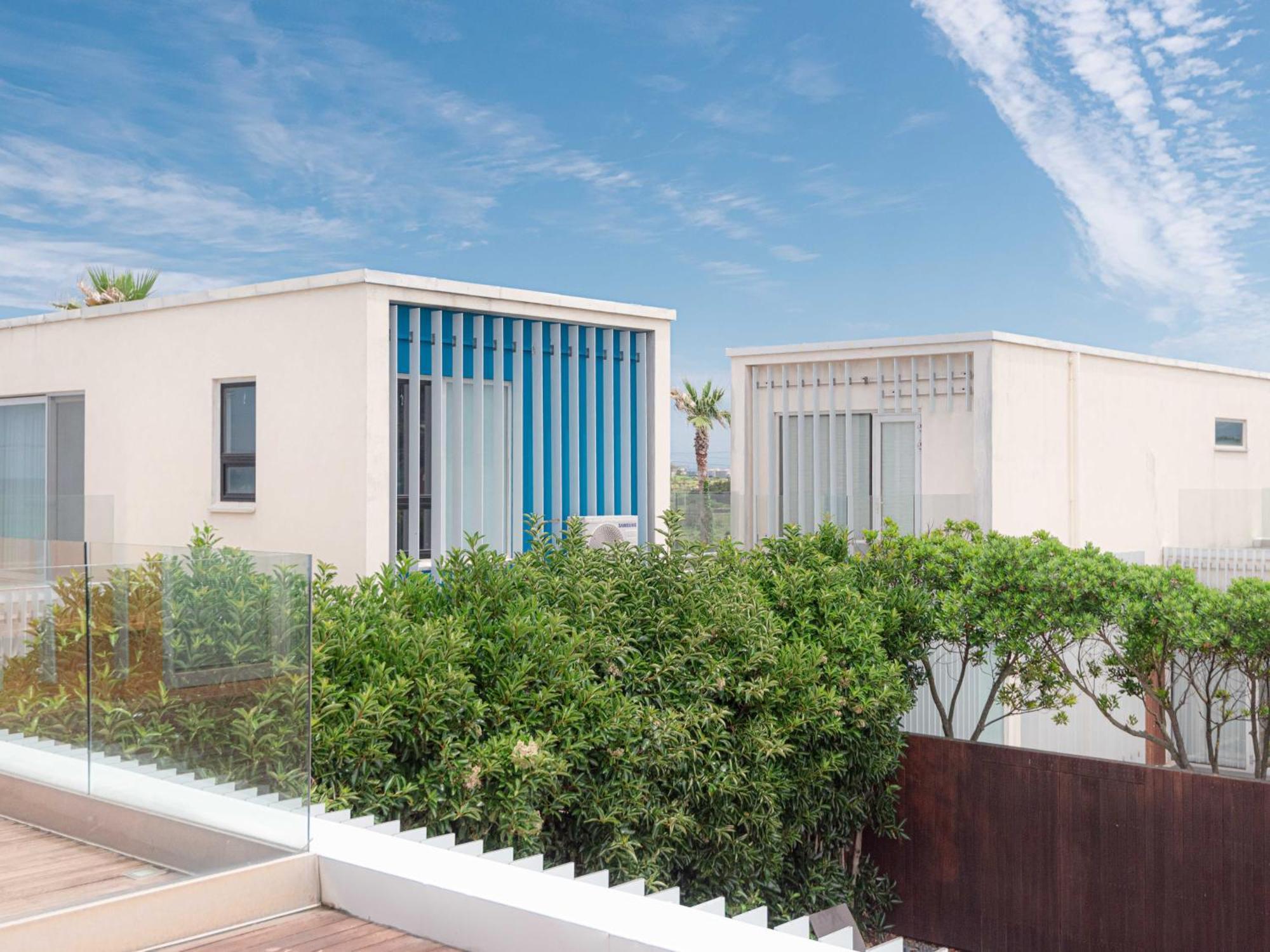Boutique Pool Villa Namib Jeju Dış mekan fotoğraf
