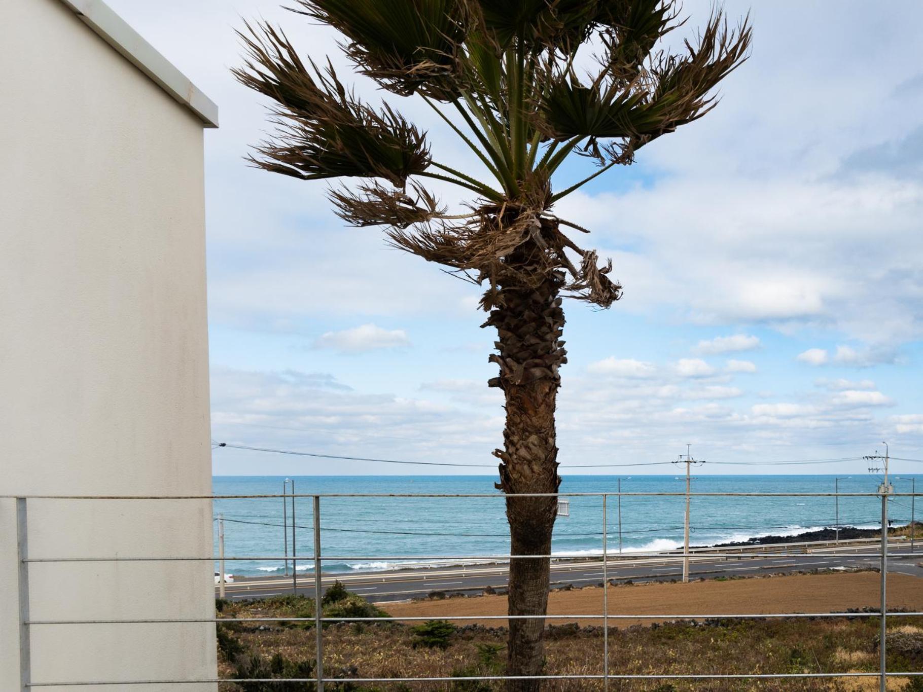 Boutique Pool Villa Namib Jeju Dış mekan fotoğraf